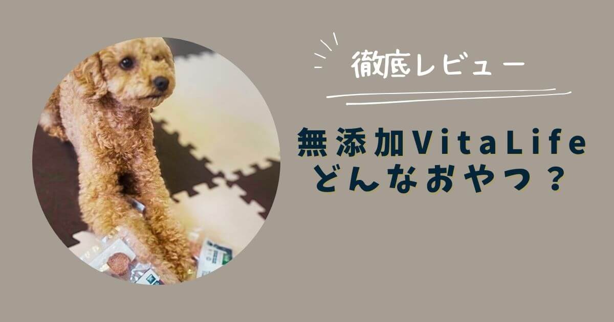 無添加ViteLifeどんなおやつ？